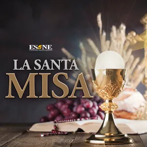 Discípulos de Jesús: Hechos de los Apóstoles