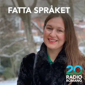 4: “Svensk romani är mitt arv – jag ska inte låta det dö ut”