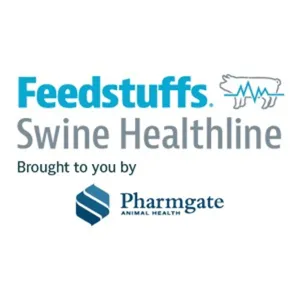 Writing and executing effective swine health protocols