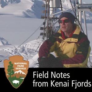 The Glaciers of Kenai Fjords: A Century of Change