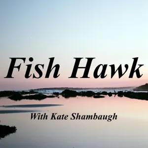 Fish Hawk: Island Explorers