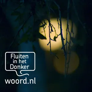 Fluiten in het donker - #2 De Jachtclub