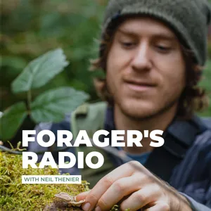 Forager's Radio