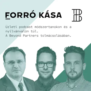 Forró Kása - Nagyvállalati innováció