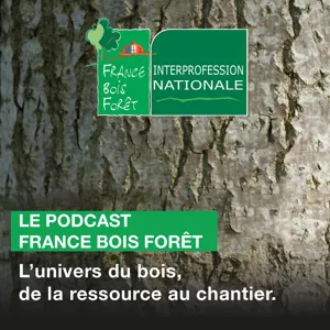 #36 Bois-forêt : concilier construction et préservation de la ressource