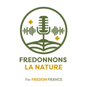 Frelons asiatiques : la terreur des ruches