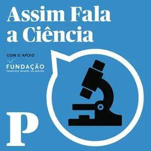 EP 12 | Susana Cerqueira e as lesões na medula espinhal