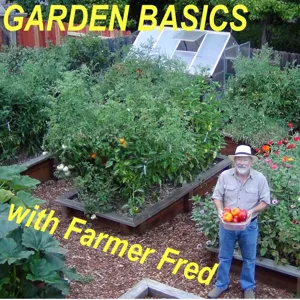 298 The Greatest Garden Basics Hits of 2023, Pt. 1