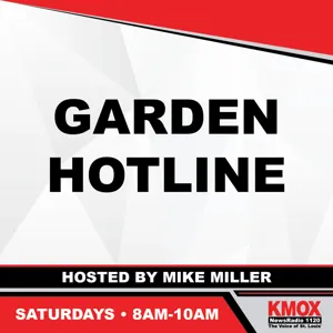 "St. Louis Composting Garden Hotline: Your Guide to Plant Care with Mike Miller"