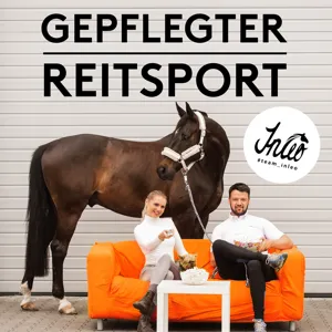 Die große Wunschliste der Reitsportprodukte - Luxus, Unsinn oder vertretbares Shopping?