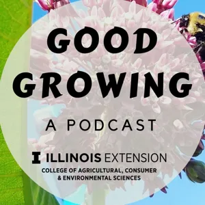 Ep. 144 Derechos & Tree Damage | #GoodGrowing