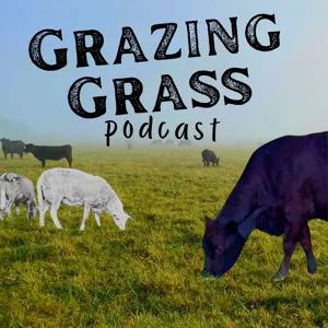 e87. Transforming Grazing on a Family Farm with Jake DeWoody