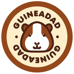 Traveling with Guinea Pigs!︱GuineaDad Podcast Ep.3