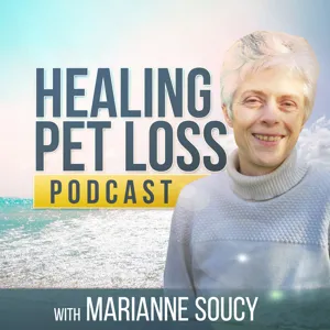 Meet Macey – Reconnecting with a dog in the afterlife
