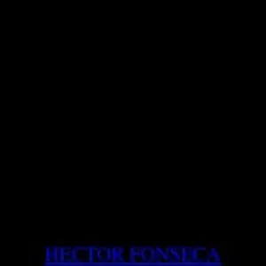 Hector Fonseca /FT Radio Episode 1 "Muchacho"