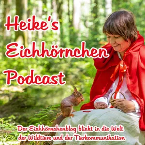 Begegnungen mit den Eichhörnchen in unserem Garten