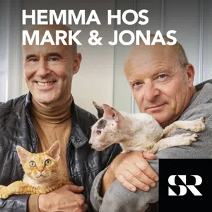 Mark och Jonas: Superhjälten Mark Levengood