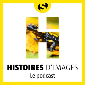 #5 Apprendre à faire un documentaire animalier