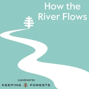 To Save a Forest, Use it: A Conversation with Dr. Jennie Stevens, Yvonne Knight Carter, and Brian Brashaw