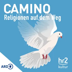 Auch wir sind Kirche! Erfahrungen von People of Colour mit christlichem Rassismus