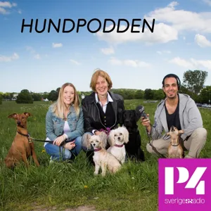 Hunden i människans tjänst del 2 - Barnens hund i vården