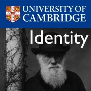 Visualising Identity