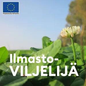 Ilmastonmuutoksen vaikutus metsätalouteen