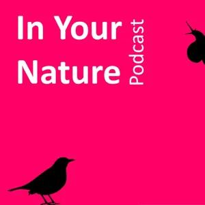 In Your Nature Ep 24 - Life at Cape Clear Bird Observatory