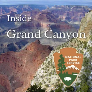 Condor Takes a Dip in a Grand Canyon Creek