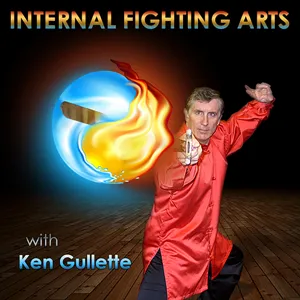 Internal Fighting Arts 55 - Dennis Mace