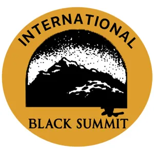 International Black Summit Interview Podcast:  Malika Redmond