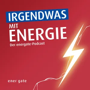 #13 – Energieeffizienz - Das Stiefkind der Energiewende? - Mit Tanja Loitz und Sebastian Schröer