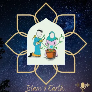 Ep.11: Quilting, Natural Dying & Living off the Grid - Sr. Tenille Fatimah: Quilter & Natural Dyer living off the grid