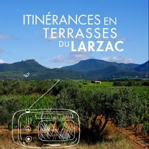 BA _ Itinérances en Terrasses du Larzac -- Roches et Paysages -- geologie et vin