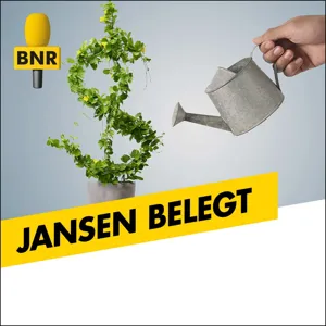 Welke sectoren ontbreken nog in de portefeuille van Jansen Belegt?