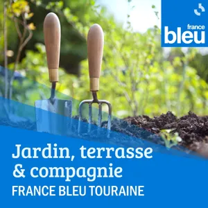 Les plantes couvre-sol : de véritables bienfaits pour tous les jardins !