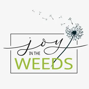 The joy and weeds of fostering and adoption with Mary Beth Hagan