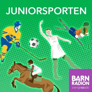 Friidrott – sporten där det mesta ingår