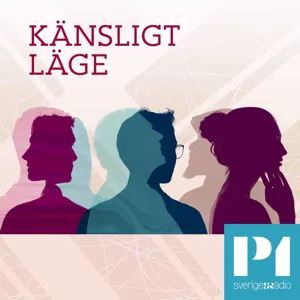 Känsligt läge Med Klara Zimmergren - Samtal om otrohet 2016-06-29 kl. 14.04