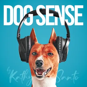 Kathy Santo's Dog Sense Episode 3: My Top 10 Ways To Improve Your Dog's Training Right Now