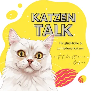 Training vs. innere Einstellung - Was ist wichtiger für die Beziehung zu deiner Katze?