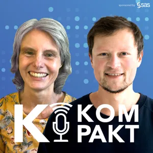 Datenschutz im Zeitalter von KI | KI Podcast Folge 11