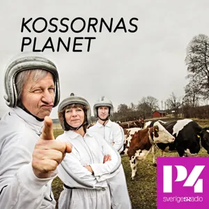 Kossornas planet Om simning 2015-07-25 kl. 12.03