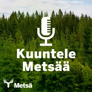 Ääniartikkeli: Metsä Group Plus tuo lisää lahopuuta leimikkoon