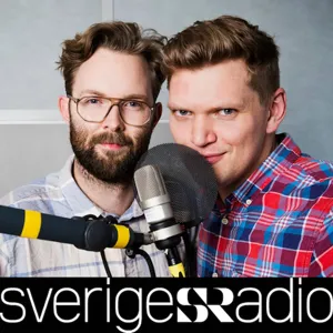 Ger fler poliser färre brott?