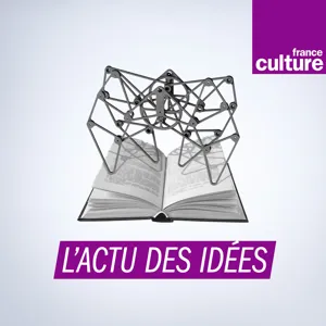 Psychique et politique, la psychothérapie institutionnelle comme théorie politique