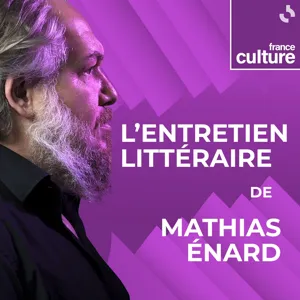 "La guerre est un froid métaphysique", entretien avec le romancier Vélibor Čolić