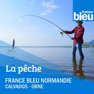 Entretien canne à pêche