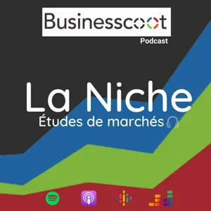 #35 Le Nocode |  Francis Lelong, Alegria Group