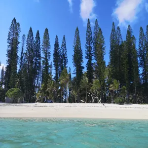 La Monique vue par le D'Entrecasteaux